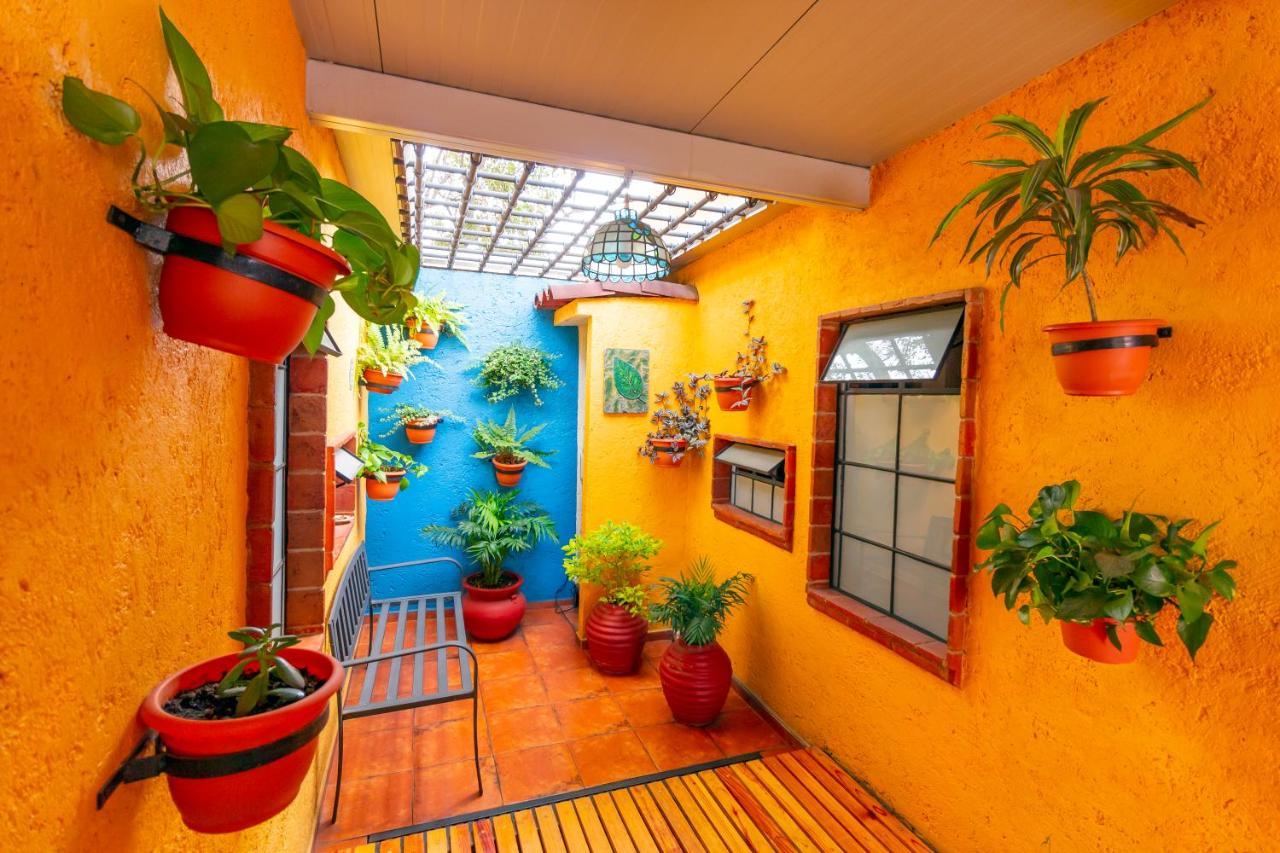 Mex Suites Casa Azul B&B Mexico By Eksteriør billede