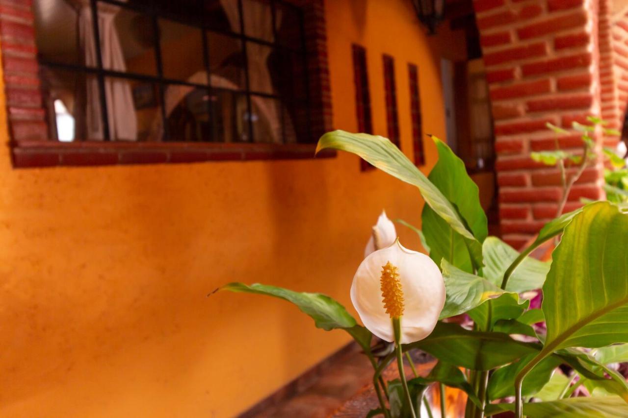 Mex Suites Casa Azul B&B Mexico By Eksteriør billede