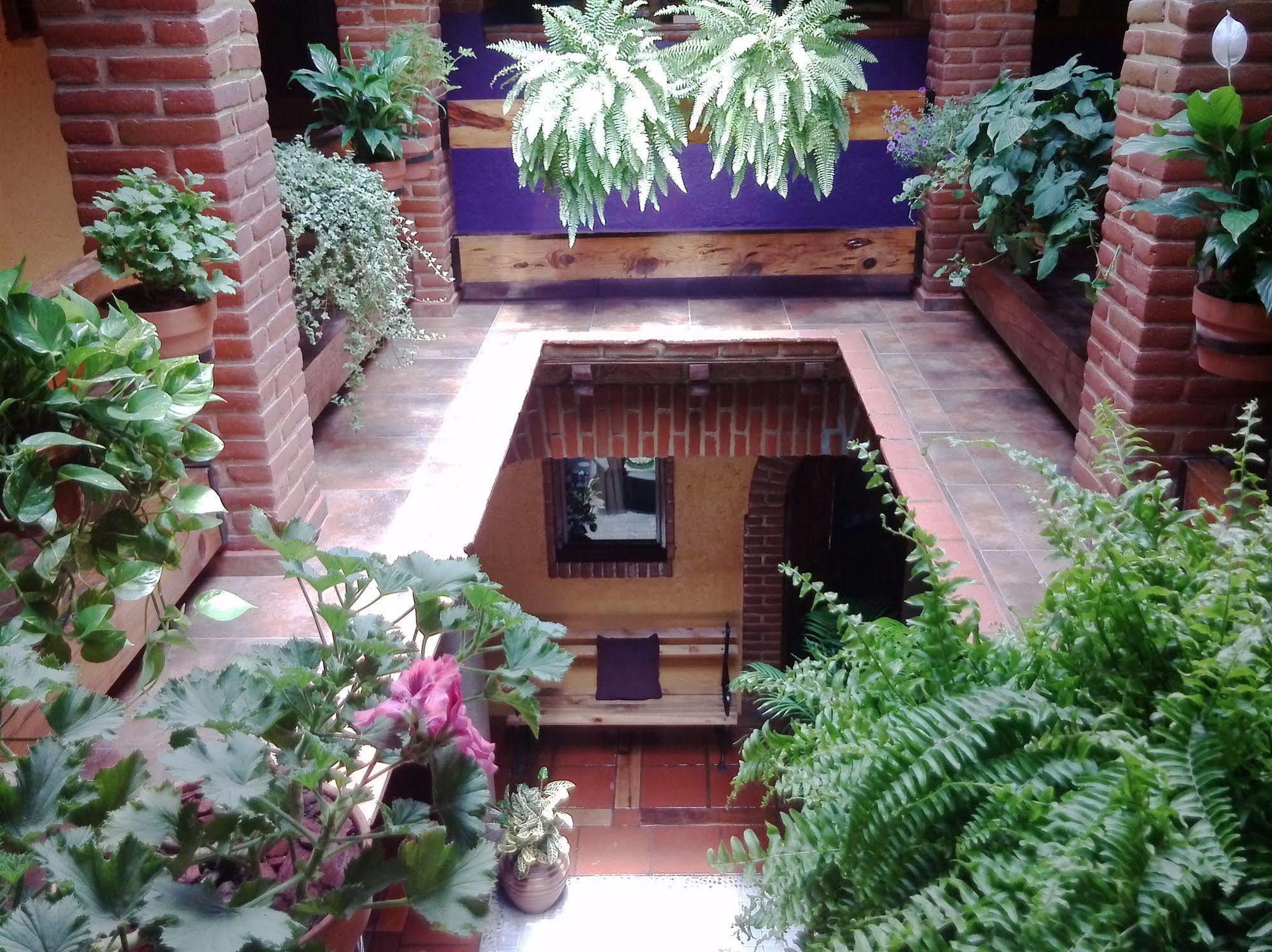 Mex Suites Casa Azul B&B Mexico By Eksteriør billede